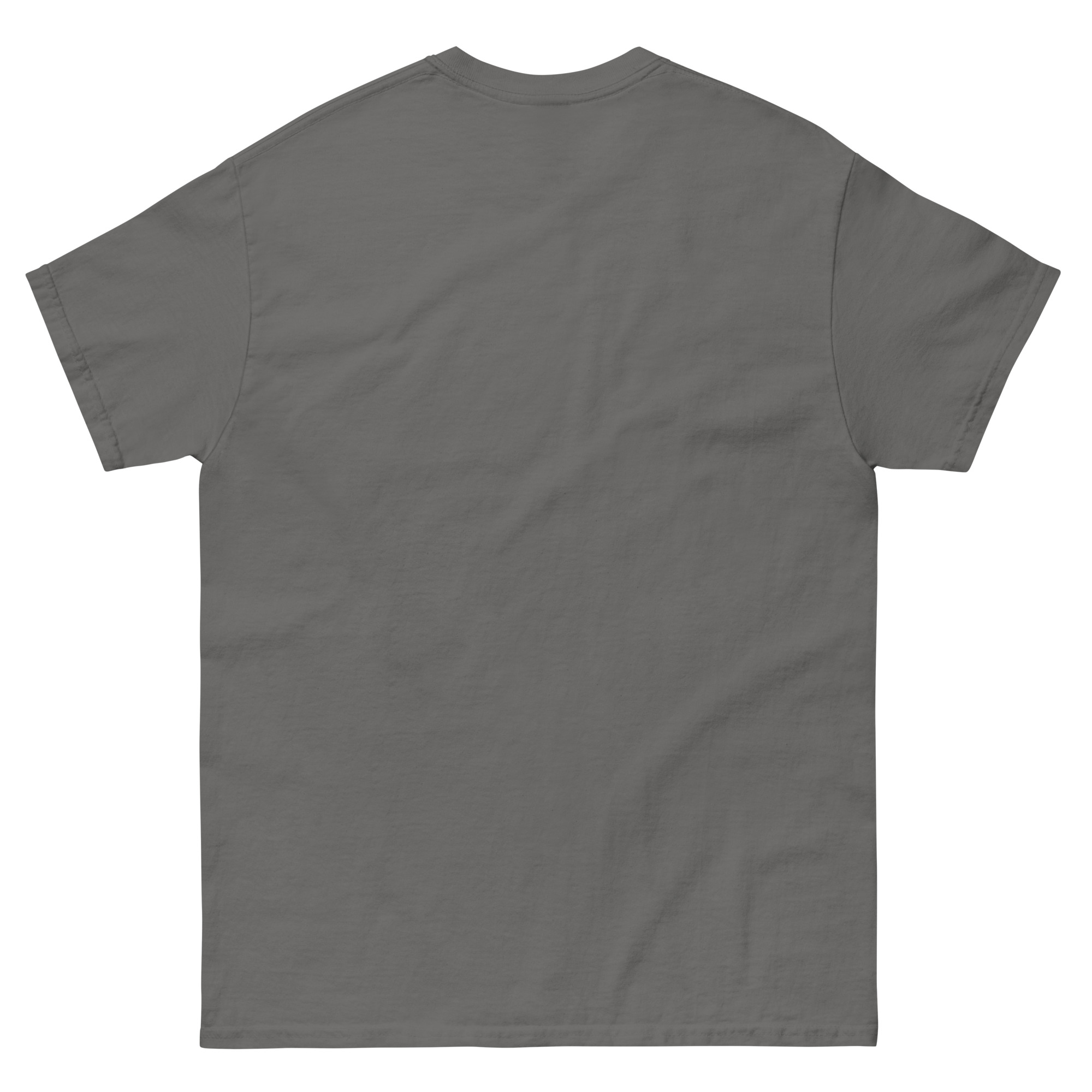 mens-classic-tee-charcoal-back-6630b6f888dc6.jpg